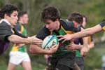 IMG_7728