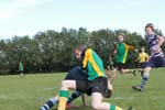 IMG_5415