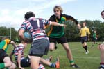 IMG_5425