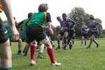 IMG_5449