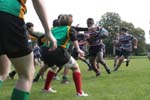 IMG_5450