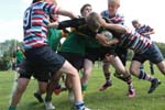 IMG_5510