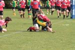 IMG_6615