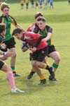 IMG_6644
