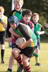 IMG_7101