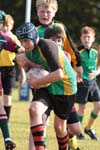 IMG_7102