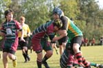 IMG_7127