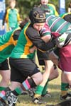 IMG_7261
