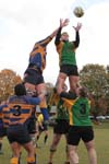 IMG_7518