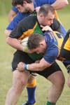 IMG_7751