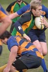 IMG_7782