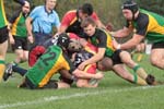 IMG_8229
