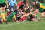 IMG_8230