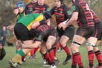 IMG_9448