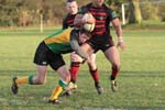 IMG_9502