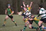 IMG_1226