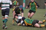 IMG_1252