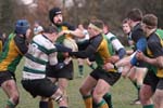 IMG_1274