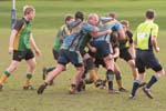 IMG_1101