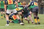 IMG_3404