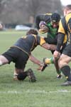 IMG_4544