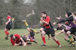 IMG_5310