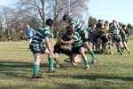 IMG_5538