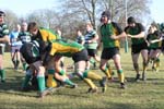 IMG_5543