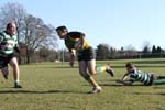 IMG_5588