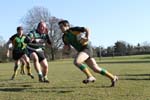IMG_5589