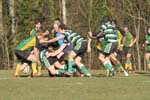 IMG_5888