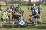 IMG_7215