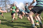 IMG_7226