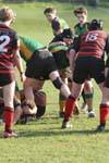 IMG_7667