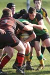 IMG_7673