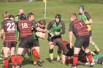 IMG_7703