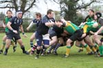 IMG_9553