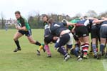IMG_9674