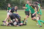 IMG_9752