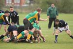 IMG_9864