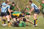 IMG_0519