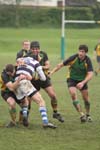 IMG_0935
