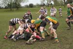 IMG_1166
