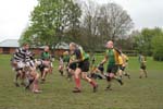 IMG_1236
