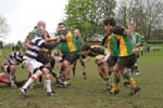 IMG_1250