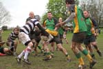 IMG_1253