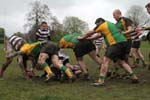 IMG_1260