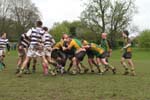 IMG_1271