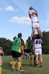IMG_7420