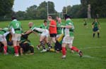 DSC_0197-001